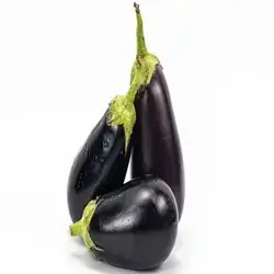 Eggplant
