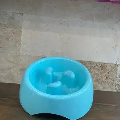 feeding bowl L for dog