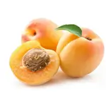 Apricot Domestic