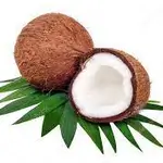 Coconut (1pc)