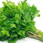 Celery