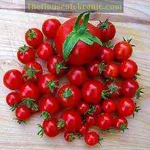 Cherry Tomatoes