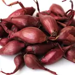 Dolma Onion