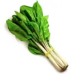 Chard