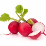 Radish