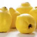 Turkish Quince
