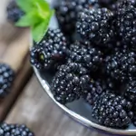 Black Rasberry