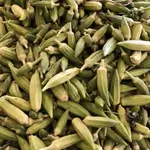 Okra Iraqi