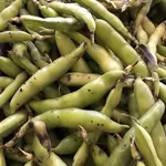Broad Bean