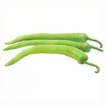 Sweet Green Pepper