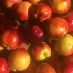 Local Peach