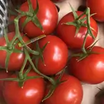 Gulkhana Tomato