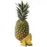 Baby Pineapple