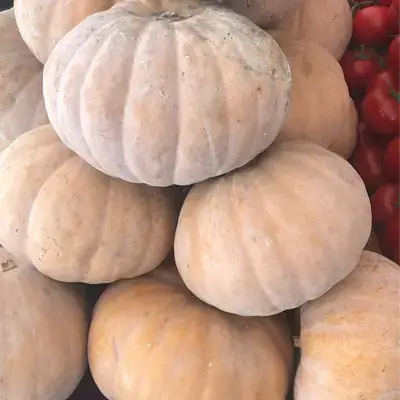Yellow Pumpkin - 2 Kg