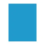 Carton 50*70 Blue