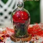 A glass bell containing a Forever rose