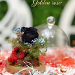 A glass bell containing a Forever rose