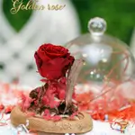 A glass bell containing a Forever rose