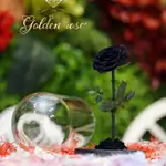 A glass bell containing a Forever rose