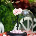 A glass bell containing a Forever rose