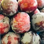 Black Plum