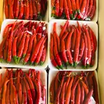 Pakistani Red Spicy Pepper