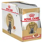 Royal Canin British Shorthair Wet x12 85g