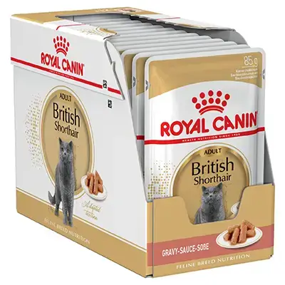 Royal Canin British Shorthair Wet x12 85g