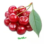 Iranian Sour Cherry