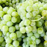 White Grape local