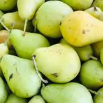 Pear