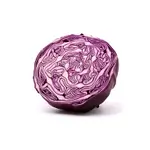 Red Cabbage