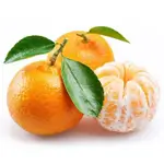 Iraqi Tangerine