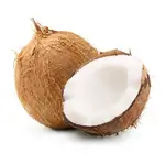 Coconut