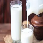 Yogurt