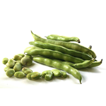 Fava Beans