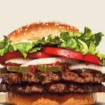 Meat Cheeseburger Sandwich