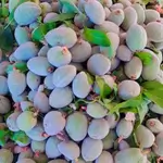 Green Almonds