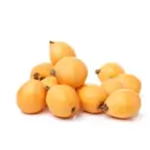 Loquat