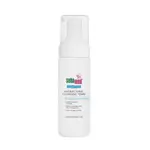 Antibacterial Cleansing Foam