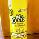Waterless shampoo, hair cleaning, hair shine