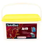 Cerelac Vercelle Laga A19 200g