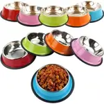 Cat Eating Bowl