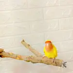 Wood, a cocktail endowment or a Ghandoura, inside a cage