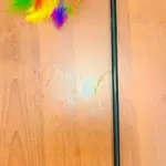Cat Games
