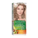Garnier Color Light Ash Blonde 8.1