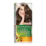 Garnier Color Dark Ash Blond No 6.1