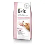 Brit Grain Free Veterinary Diet (Dry food) Salmon & PEA, HYPOALLERGENIC, Limited Ingredient Diet, Long Term Nutrition For Dogs with Food Allergy or Dermatitis 2Kg