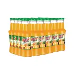 Tazech Juice Nrb Mix Fruit 300Mlx24