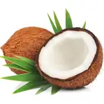 Coconut 1 Pcs